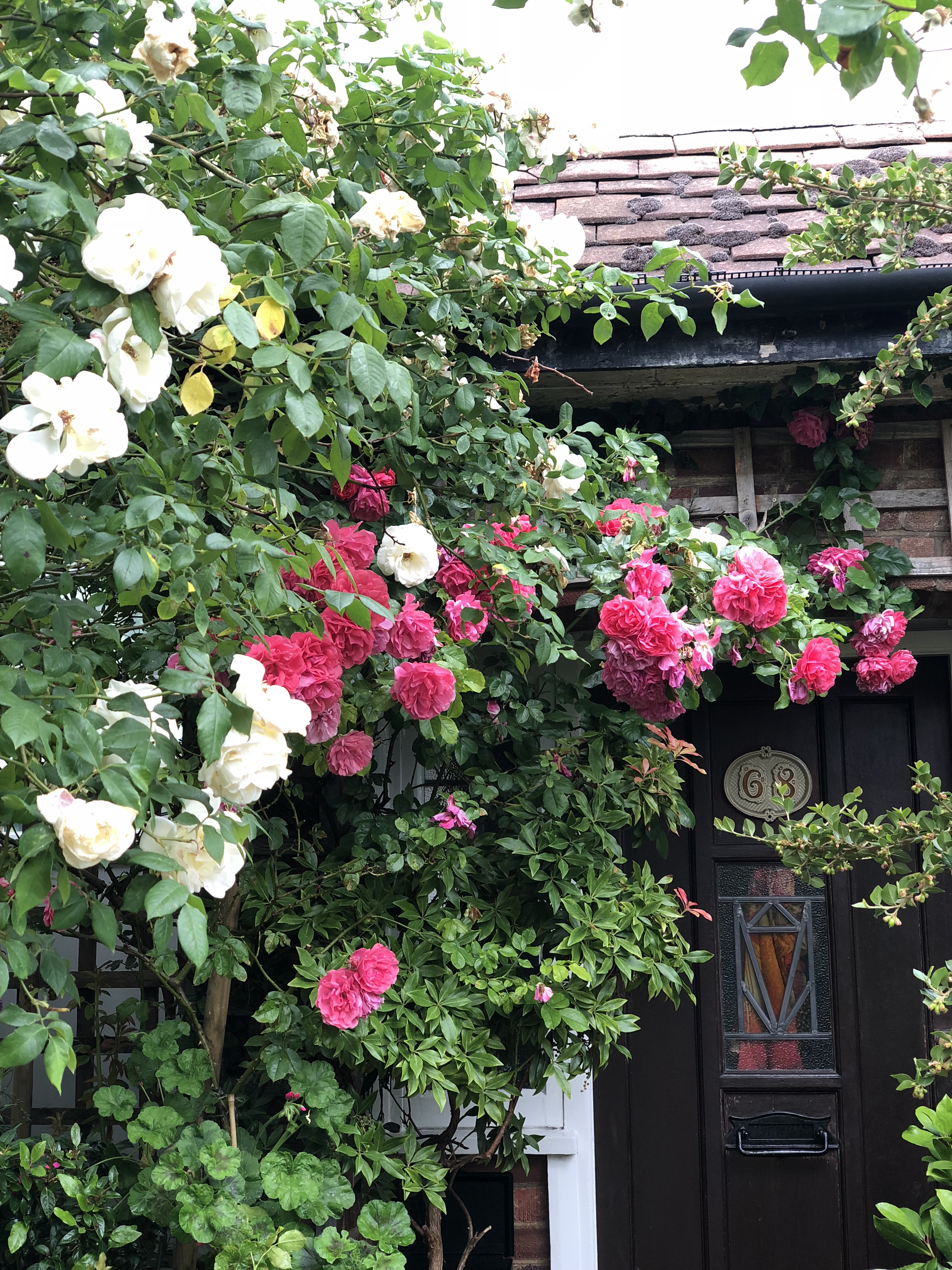 RosesFrontDoor