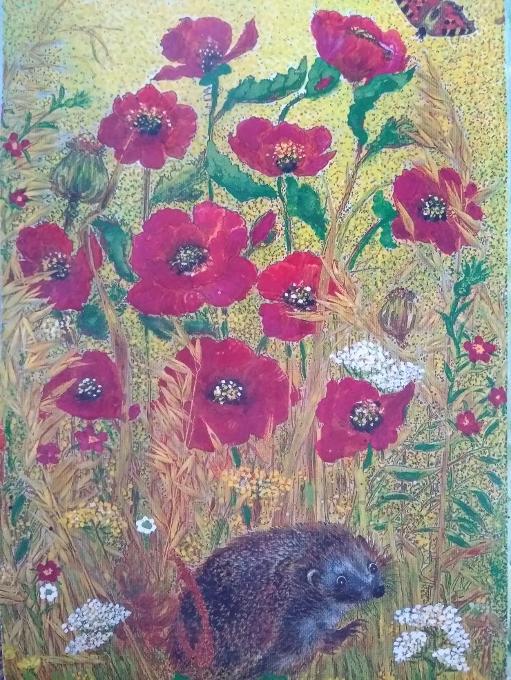 HedgehogPoppies
