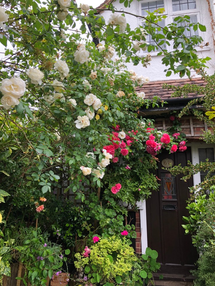 RosesFrontDoor5