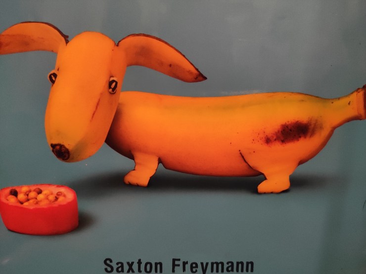 DogBanana