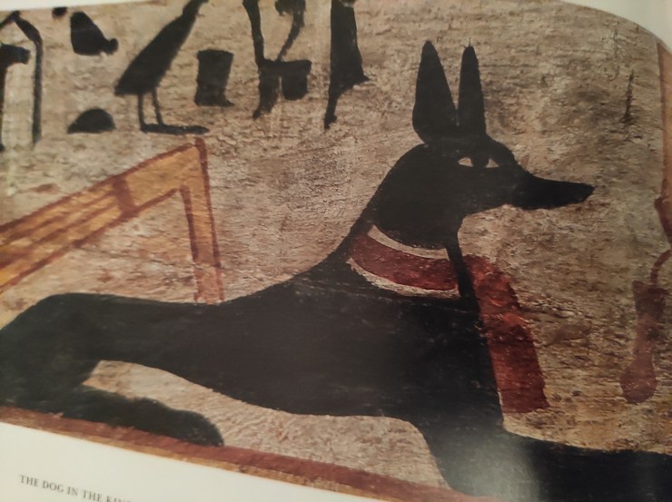 EgyptianDog