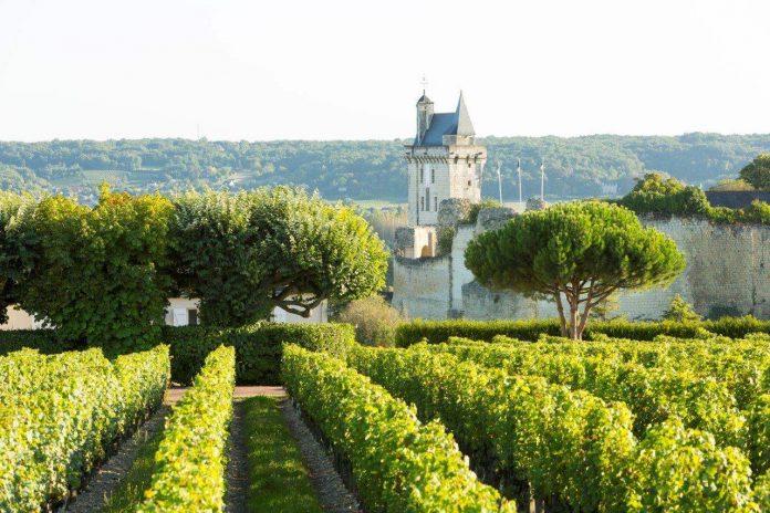 LoireValleyVineyards