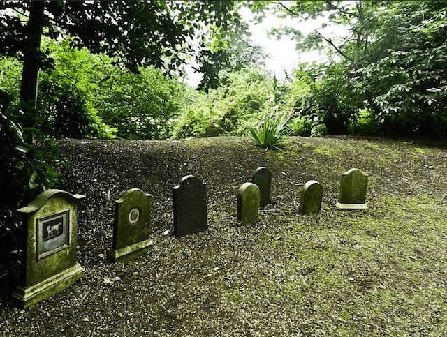 PetCemetery8