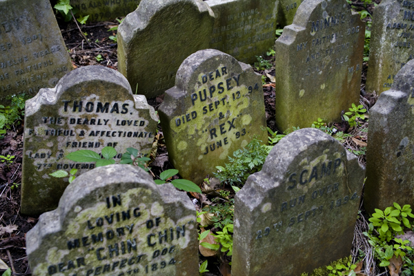 PetCemetery9